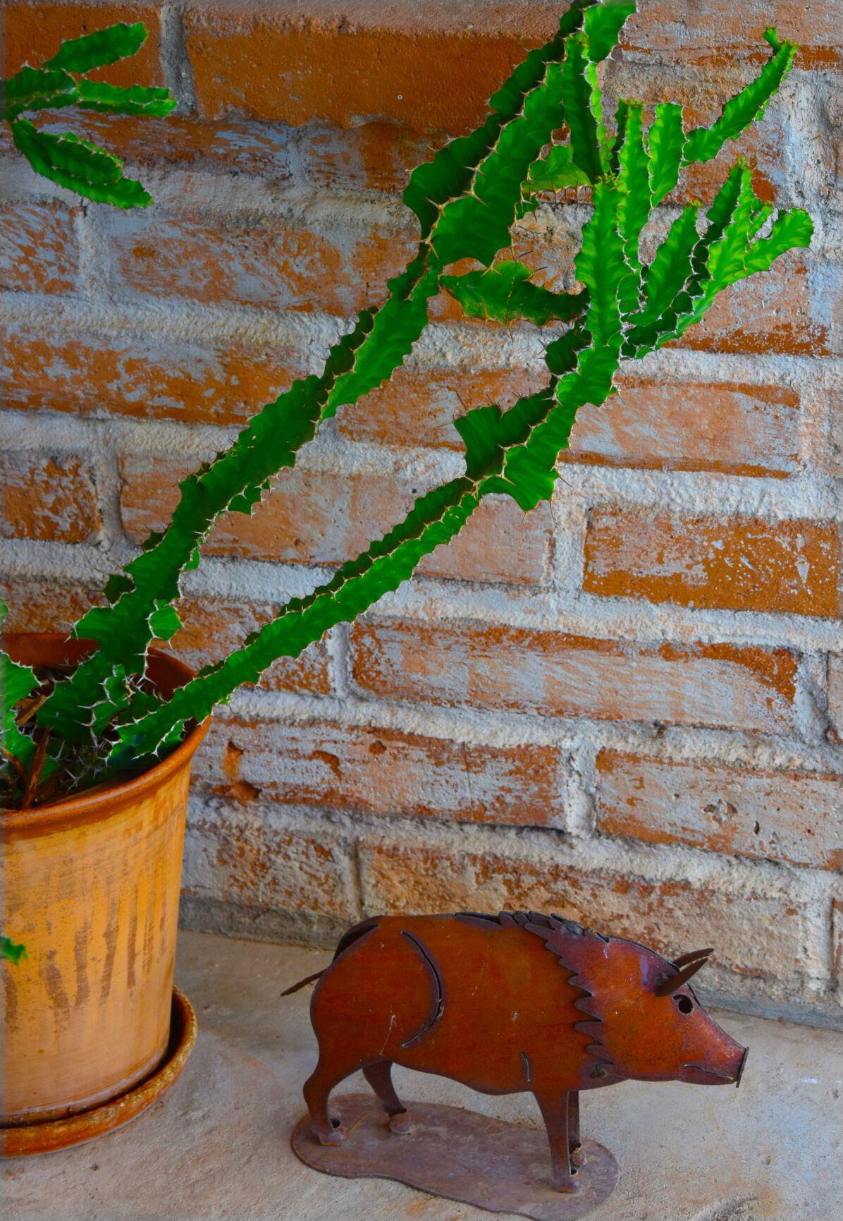 2023 Master Gardener Home Garden Show